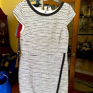 Ann Taylor Winter Dress